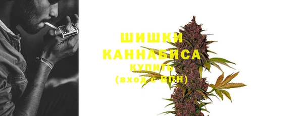 PSILOCYBIN Нефтегорск
